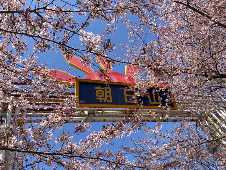 Asahiyama Forest Park Spring