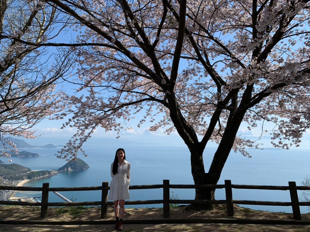 香川縣【紫雲出山櫻花季】自駕入山預約、參觀資訊說明、明信片拍照點、交通方式說明|Mt. Shiude Sakula 20 紫雲出山頂停車場
