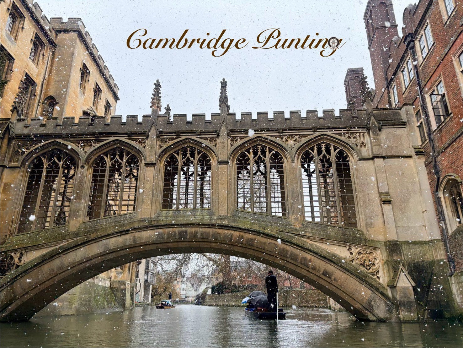 Punting