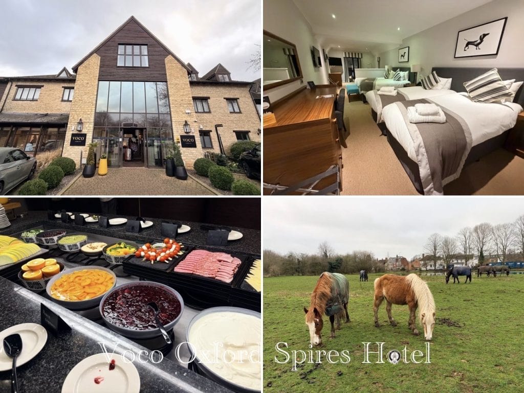 英國【史特拉福Strarford-upon-Avon】莎士比亞故居|William Shakespeare Birthplace、 Anne Hathaway's Cottage|Bicester Village Outlet|Voco Oxford Spires Hotel 6 Voco Oxford Spires Hotel