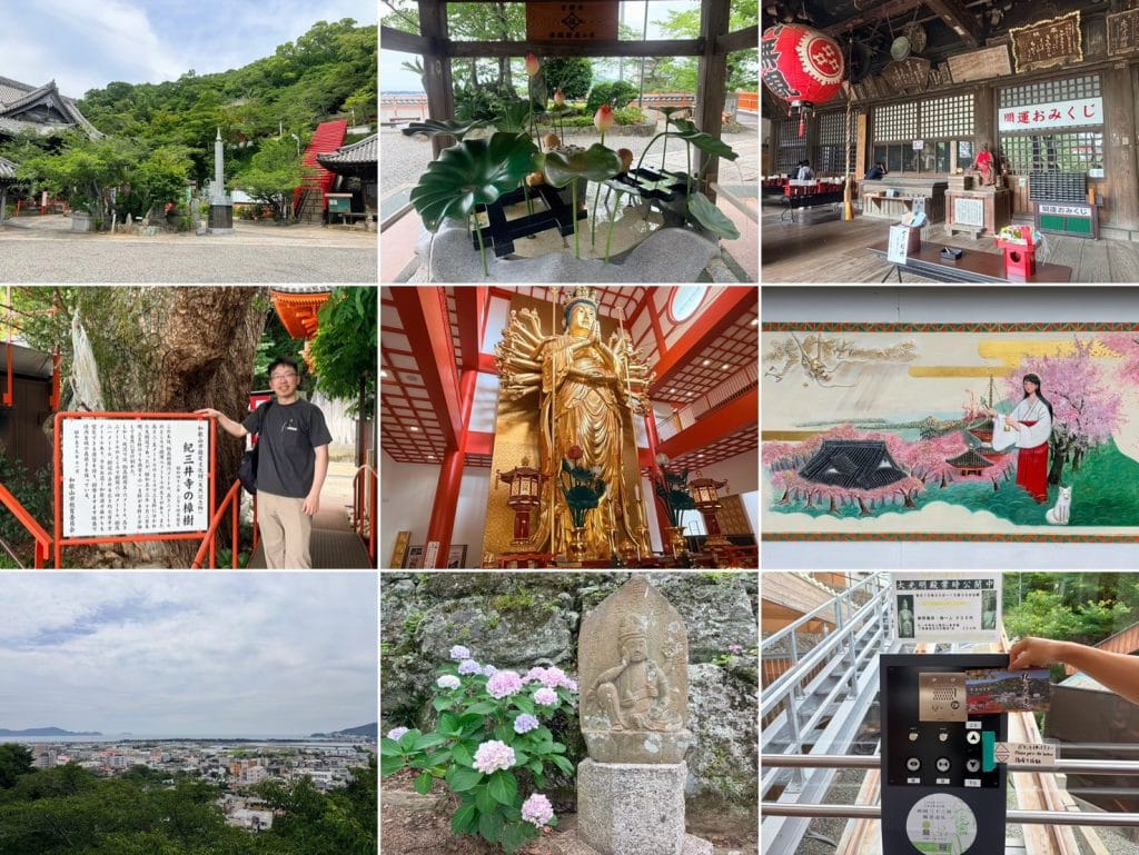 和歌山縣【和歌山市】Wakayama|Kino和歌山商場—和歌山城—和歌山市車站百名店美食|紀三井寺—Gold Coffee—和歌山黑潮市場 鮪魚解體秀—道之驛 四季之鄉公園—あじさい曼荼蘿園|加太鯛魚列車、淡嶋神社|和歌山電鐵貴志川線、小玉貓站長|湯浅醬油|Candeo Hotels Nankai Wakayama 9 紀三井寺