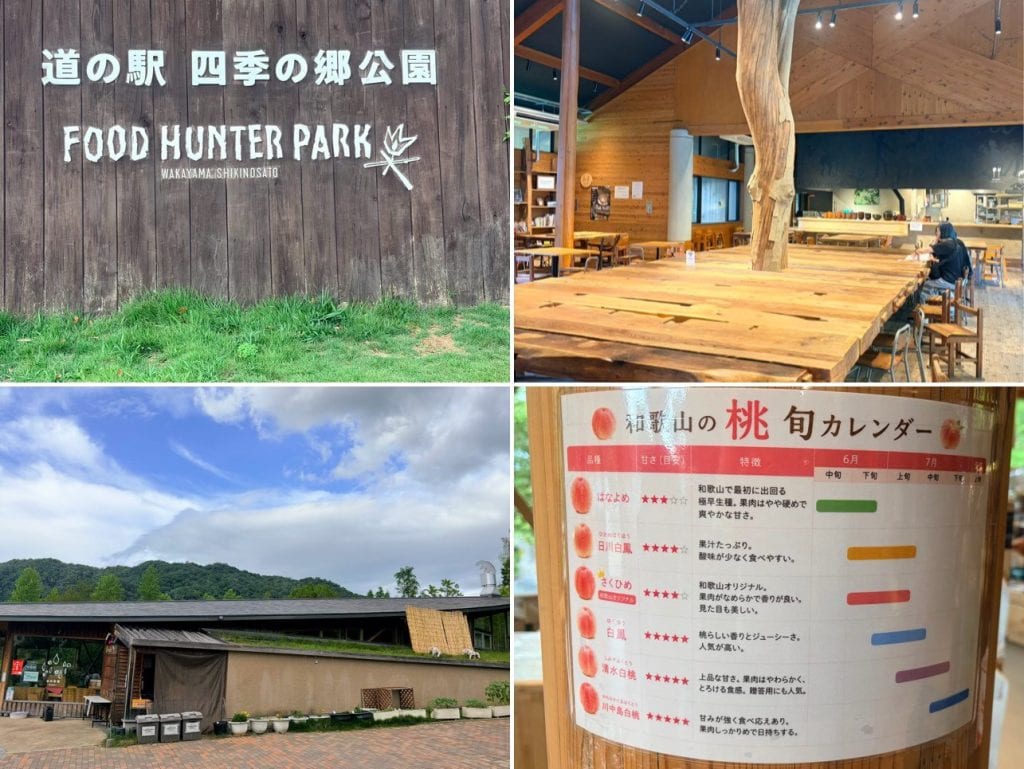 和歌山縣【和歌山市】Wakayama|Kino和歌山商場—和歌山城—和歌山市車站百名店美食|紀三井寺—Gold Coffee—和歌山黑潮市場 鮪魚解體秀—道之驛 四季之鄉公園—あじさい曼荼蘿園|加太鯛魚列車、淡嶋神社|和歌山電鐵貴志川線、小玉貓站長|湯浅醬油|Candeo Hotels Nankai Wakayama 13 LINE ALBUM 20260621和歌山 熊野三山 260626 160