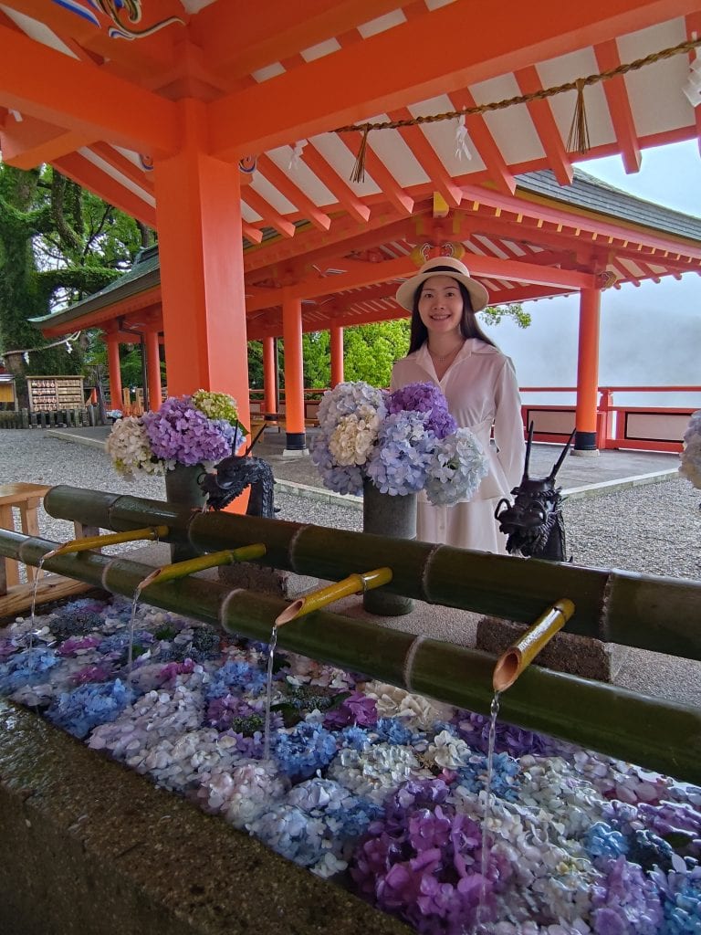 和歌山縣【和歌山市】Wakayama|Kino和歌山商場—和歌山城—和歌山市車站百名店美食|紀三井寺—Gold Coffee—和歌山黑潮市場 鮪魚解體秀—道之驛 四季之鄉公園—あじさい曼荼蘿園|加太鯛魚列車、淡嶋神社|和歌山電鐵貴志川線、小玉貓站長|湯浅醬油|Candeo Hotels Nankai Wakayama 28 P 20260620 160220