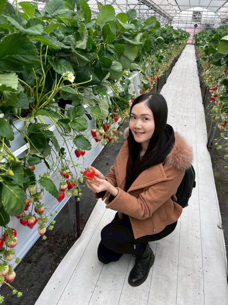 Inoue Ichigoen Kikis Strawberry House