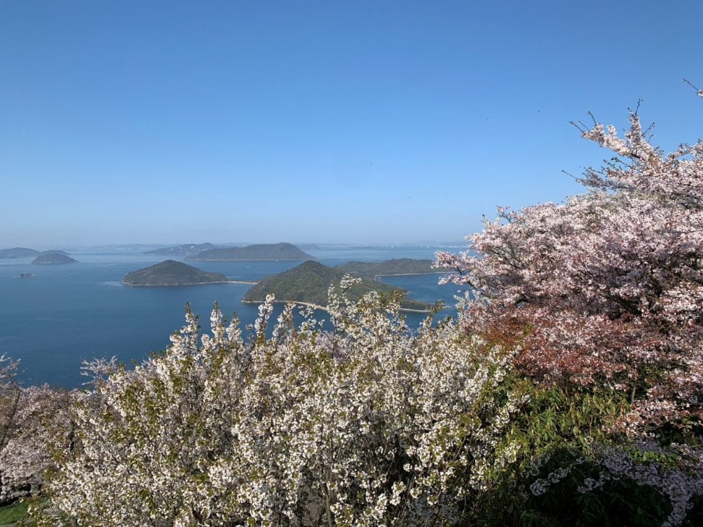 日本四國地區|愛媛縣【瀬戸内しまなみ海道|愛媛今治側】瀨戶內海自駕跳島之旅 16 紫雲出山展望台。春櫻與瀨戶海岸線